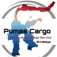 Logo Pumas Cargo